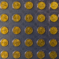 Золотая монета «Георгий Победоносец» СПМД в блистерах (2014год)